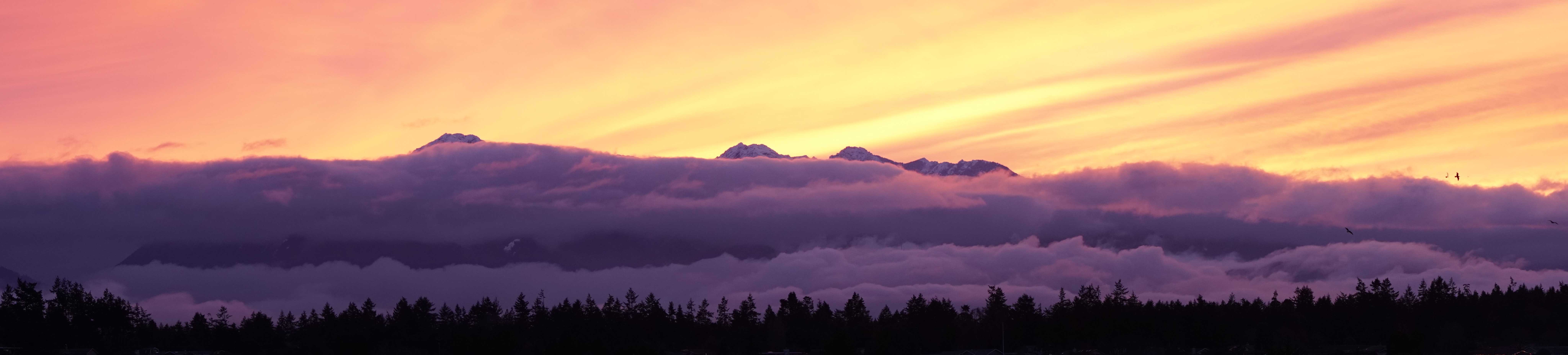 Sunset over Olympics